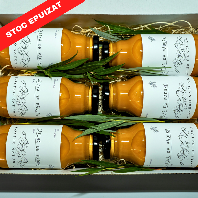 Suc Cătină De Pădure (12 buc)