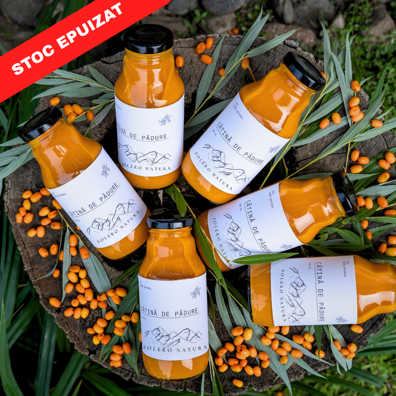 Suc Cătină De Pădure (24 buc)