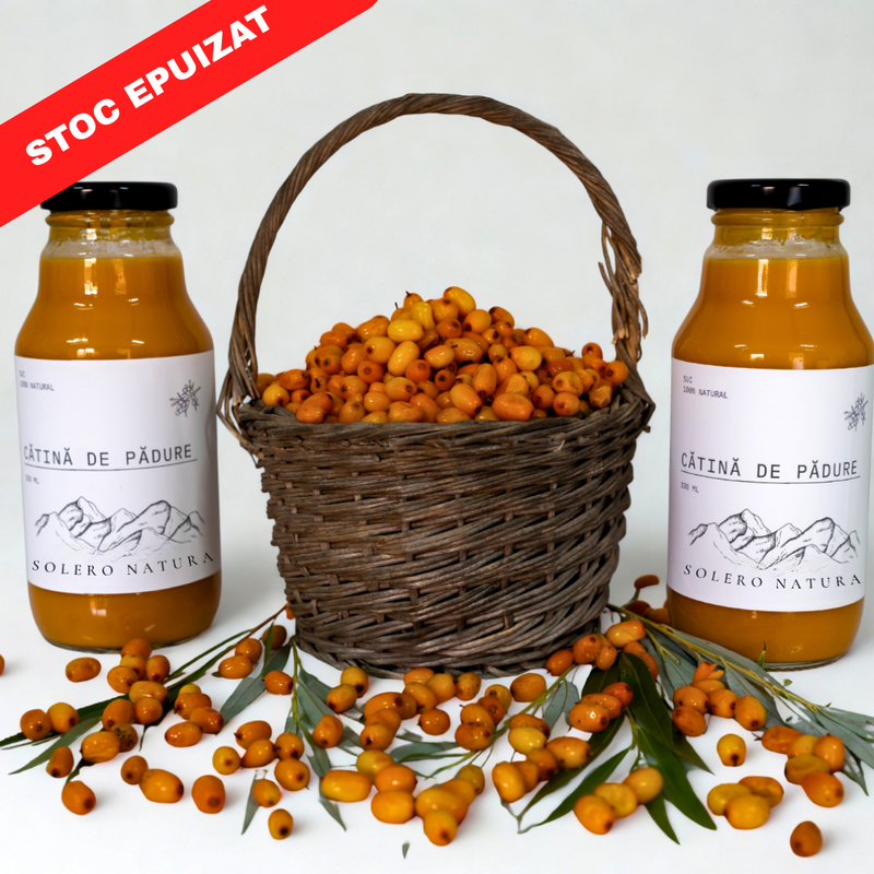 Suc Cătină De Pădure (30 buc)