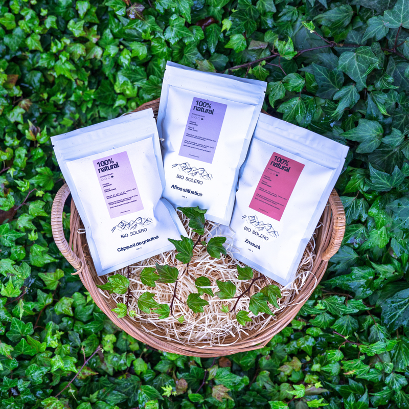 Plic Pudră Căpșuni